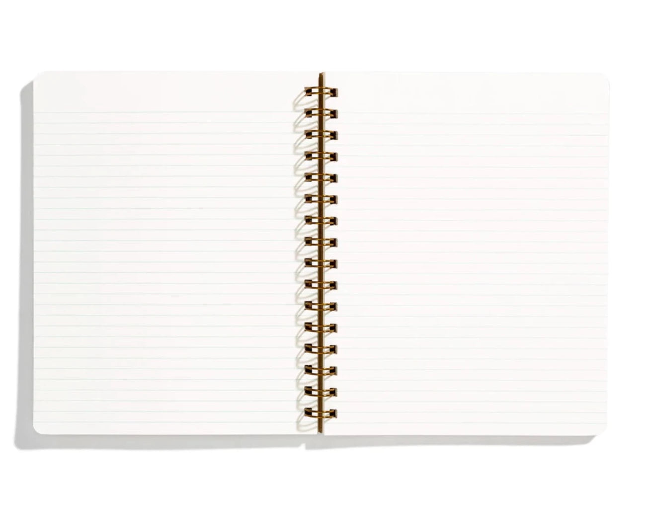 STANDARD NOTEBOOK, MINT Green - Shorthand Press