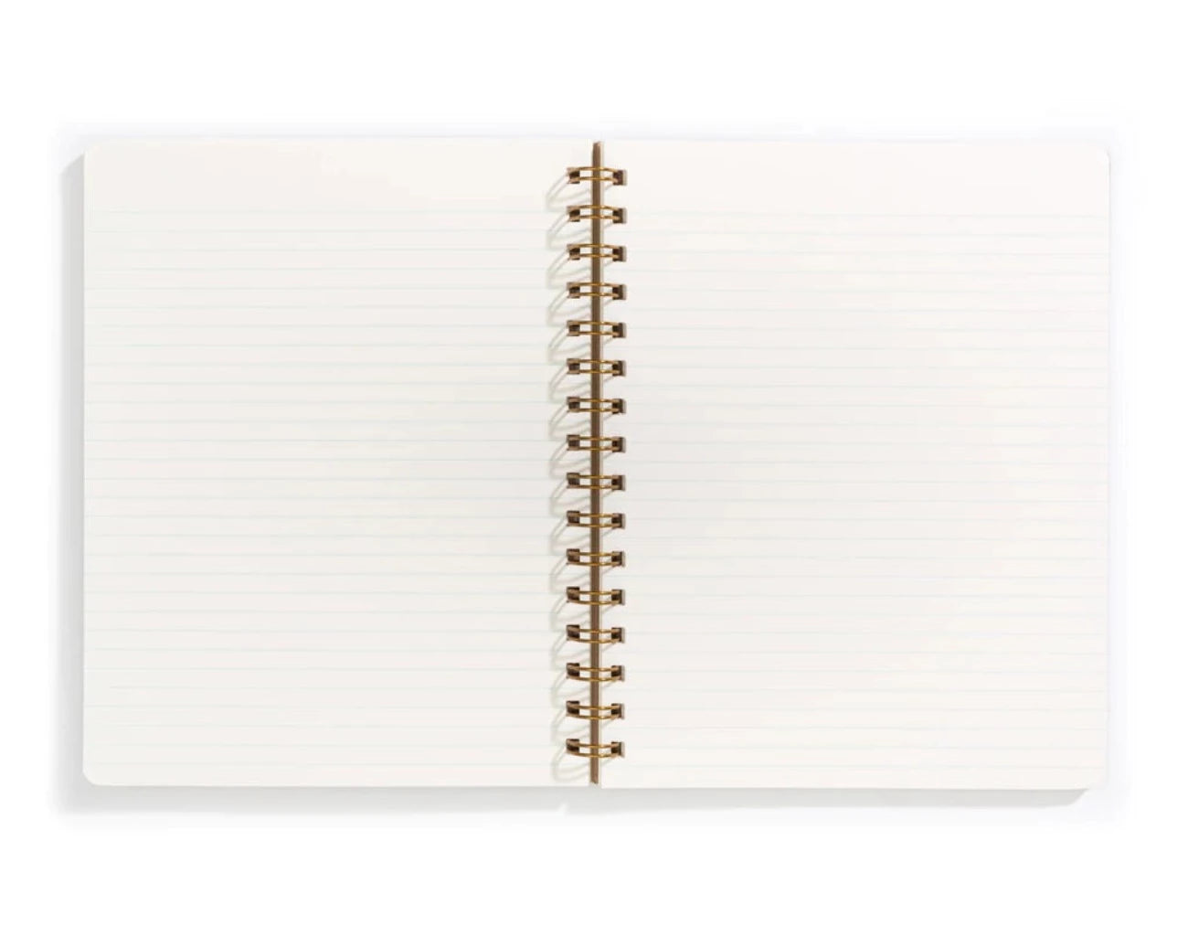 Left Handed Standard Notebook, Mint - Shorthand Press